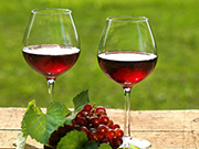为什么说喝葡萄酒有益健康？